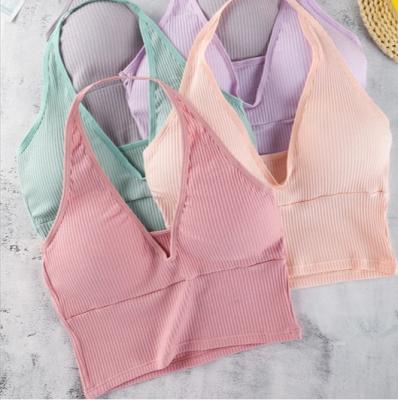 China Back Yarn Cotton Viable Beauty Wrapped Women Wire Free Tube Wrap Bra Halter Vest Chest Hanging Top Vest for sale