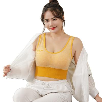 China Women QUICK DRY Breathable Comfortable Underwear Plus Fat Lift Up Wireles Bra Size Seamless Big Tube Sports Bra Yoga Top High Impact Vest for sale