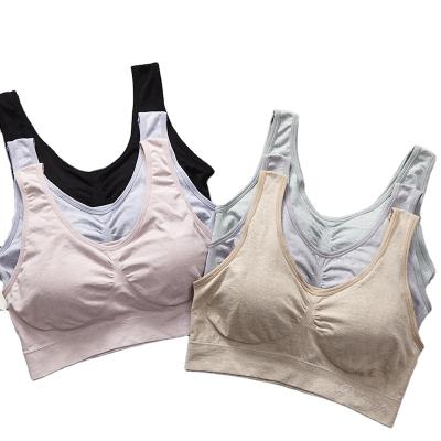 China QUICK DRY Breathable Underwear Women Plus Big Size Vest Yoga Fitness Sports Halter Top Seamless Bra Female Wholesale Running Tube for sale