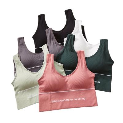 China QUICK DRY plus fat plus size breast wrap states back strap seamless hook top camisole vest straps halter sports tube bra for women for sale