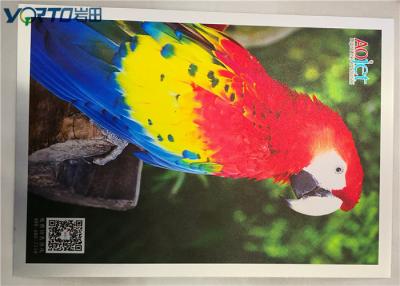 China Brushed Surface Sublimation Aluminum Sheets , Sublimation Metal Blanks for sale