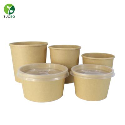 China Biodegradable Paper Biodegradable Disposable Bowl Packing Soup Food Takeout Container With Lid for sale