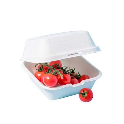 China Biodegradable Disposable Biodegradable Food Packaging Box Eco Friendly Sugar Cane Box for sale