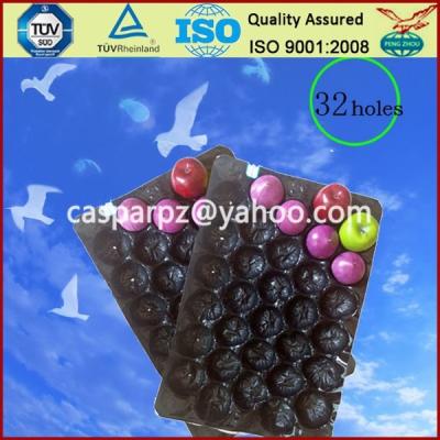 China Fruit 29*39cm/29*49cm/39*59cm Alveols Para fruta for sale