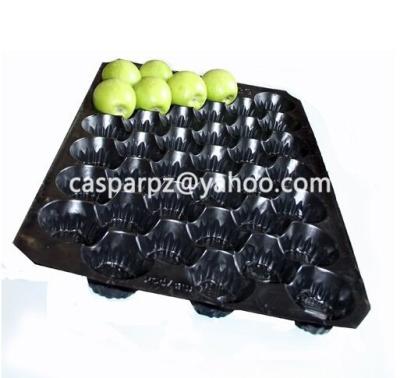 China Plastic fruit pp honeycomb tray for tomato, made in china, plastic fruit tray for sale