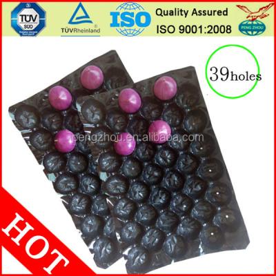 China Fruit Fruit Vegetable Insert Tray Plastic Crank (Black, For Packing Apple) 39 Holes for sale