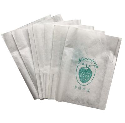 China BIODEGRADABLE hot sales mango protective growing bag with factory price for sale