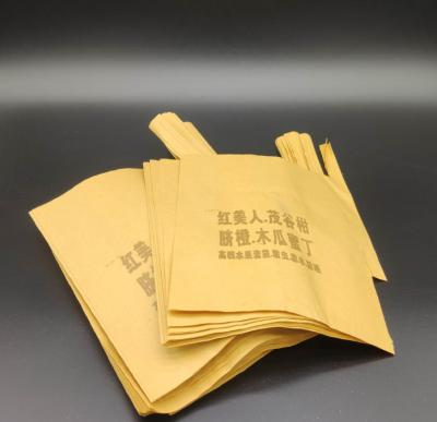 China BIODEGRADABLE Double Layer Wax Mango /Grape/Dragon Fruit Protection Coated Single Paper Bag for sale