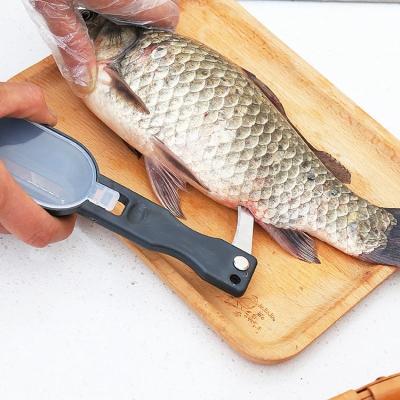 China Multi-Function Fish Scaler Fishing Knife Fish Tool Planer Scale Fish Tools Kitchen Stocked Cleaning Cooking Accessories for sale