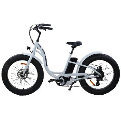 China Standard Electric Fat Tire Electric Bike Mountain Bike Electric Bike E-Bike for sale