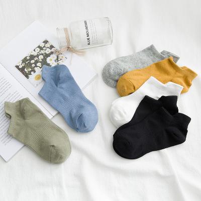 China 2019 New Solid Color Cotton Sports Ladies Sustainable Boat Socks Invisible Socks Wholesale for sale