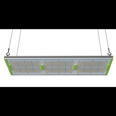 China Seed Starting Aglare 320 Watt Led To Grow Light Commercial Full Spectrum For Outdoor Grow Light for sale