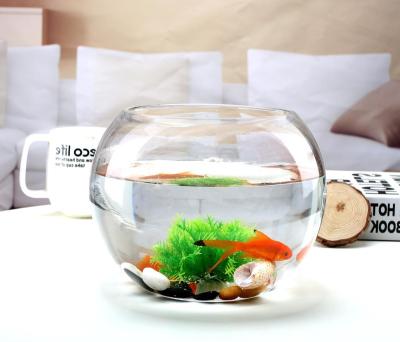 China Viable Creative Vase Aquarium Custom Transparent Spherical Glass Aquarium for sale