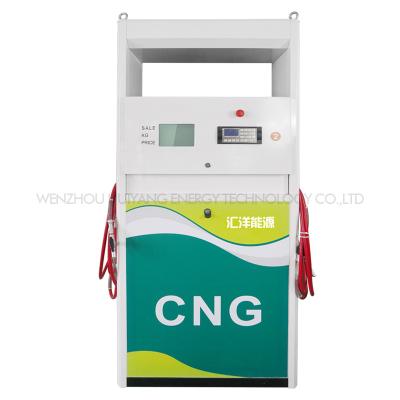 China Huiyang Hot Sale Compressed Natural Gas Distributor CNG Station NGV Dispenser HY for sale