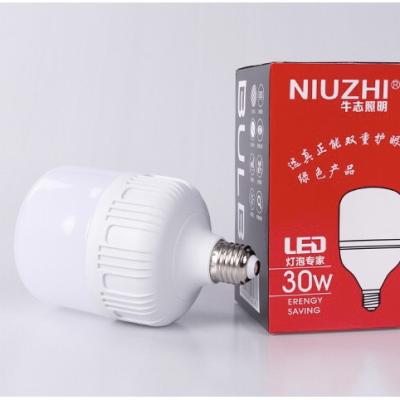 China Wholesale High Power Three Plastic Eco LED Light Bulb 5W 10W 15W 20W 30W 40W 50W 60W 80W Resistant Plastic High Transmittance Shell for sale