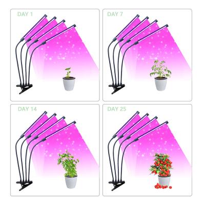 China Seed Starting New Plant Lamp Light High Quality Plant Grow Light Strips Full Spectrum Bar For Indoor Plants Veg for sale