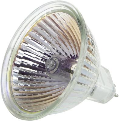 China Indoor Lighting Manufacturers Sell Well Halogen Lamps Light Durable Bulbs MR16 12V Custom Examination Halogen Lamp for sale