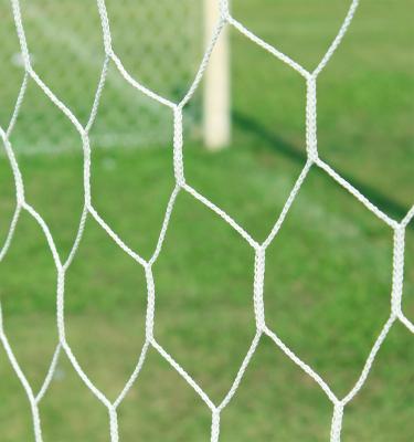 China Soccer Goal Net Hex Net Normal Durable Indoor Outdoor Soccer Goal Net for sale