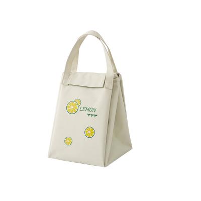 China 2020 Waterproof New Design Lunch Foldable Tote Bag For Pinique Travel School for sale