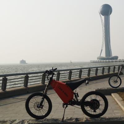 China 1500w alloy aluminum adult electric bike/electric bicycle/moped with pedal cheap price for sale