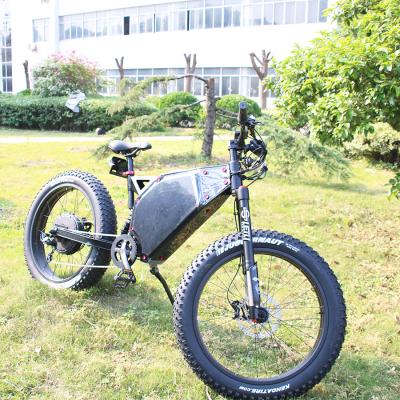 China Good quality 1000W steel wheel adult two tire ebike fat cycle charging electric bicycle bicycle for sale