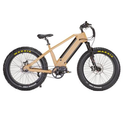 China New Steel Mid Chase Road ebike 48V 1000W Bafang Mid Drive Fat Double ebike for sale