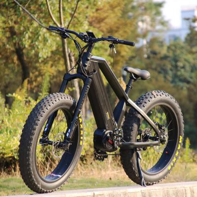 China Longest Range Luxury Electric Bike 48v 1000w Double Battery Fat Tire Electric Bike for sale