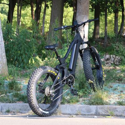 China Alloy leili ebike 1000W mid motor mountain aluminum ebike with fat tire for sale