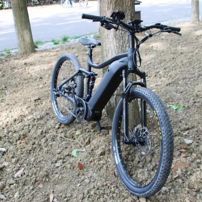 China 2020 Leili Ebike Mid Drive 48V 1000W Aluminum Alloy Mid Fat Full Suspension Electric Bike for sale