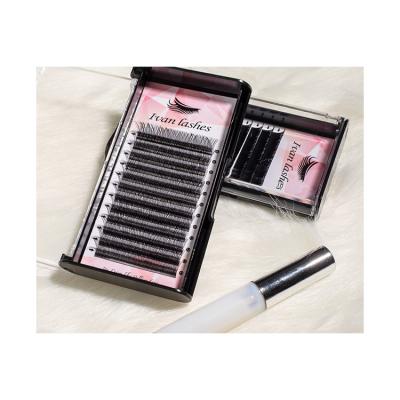 China Customized Natural High Quality Long Lashes Professional Bulk Type Transplant Yy False Eyelashes for sale