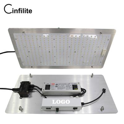 China Manual Dimmer & Daisy Chain 2021 Bestselling Infilite Vertical Agriculture Board Ultra Led Led Growing Light Lamp Samsung Lm301h 240w For Plants for sale