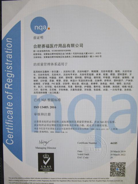 ISO13485 - Safecare Medical Products Co., Ltd. (Hefei)