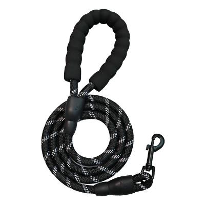 China Thoughtful Lead Lead Durable Strong Nylon Dog Rope Pet Leash Running Dog Rope With Padded Handle for sale