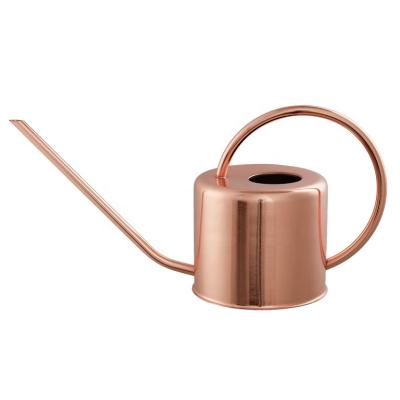 China Modern Long Nozzle 40oz Copper Colored Stainless Steel Watering Can For Outdoor And Indoor House Plants for sale