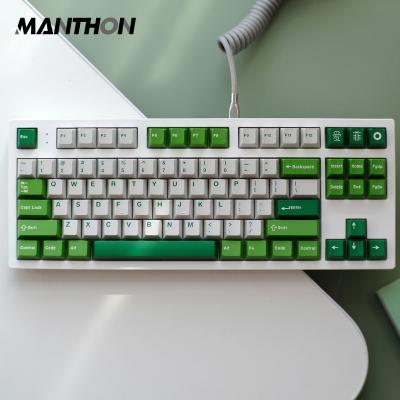 China Mechanical Keyboard Cherry Profile Keyboard Keycaps Aifei Computer Keyboard 171 Typewriter Keycaps Two Color Key Royal Key Cap for sale