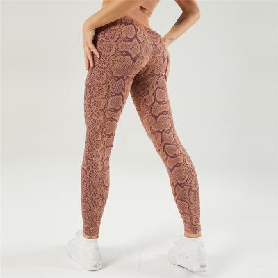 China Breathable High Waisted Tights Fashion Snake Printing Gaiters Fitness Yoga Wear Snake Gaiters Women Gaiters for sale