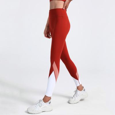 China Fashionable splice women's breathable tights leggings stitching high quality color booty leggings yoga leggings crack! crack! for sale