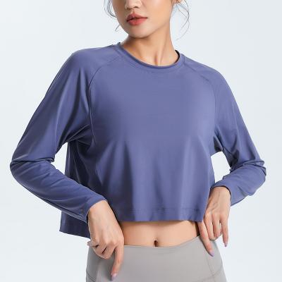 China Breathable Autumn Quick Dry Top Sport Side Diverter Long Sleeve Crop Top Round Neck Activewear for sale