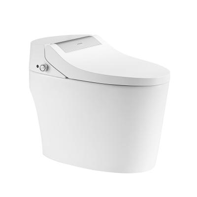 Cina Acqua astuta di Seat di toilette della FRECCIA 660x400x520mm e asciugar all'ariae funzionale in vendita