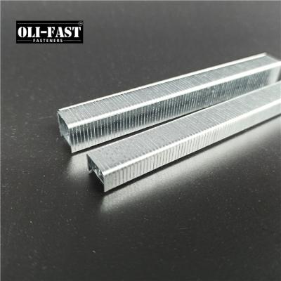 China Flat Crown 20Gauge T50 Staples Galvanized Stapler Pins for sale