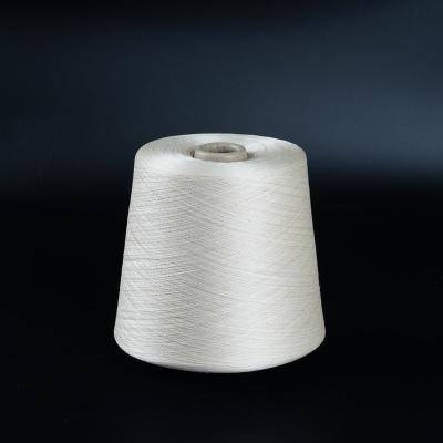 China HGSS-00 Raw Mulberry Silk Yarn Guaranteed Quality Unique 120 Counts / 2 Raw Pure White 100% Silk for sale