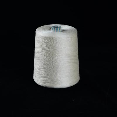 China Smooth 100% Natural Silk Yarn Thread Yarn For Machine Sewing 60/2 for sale