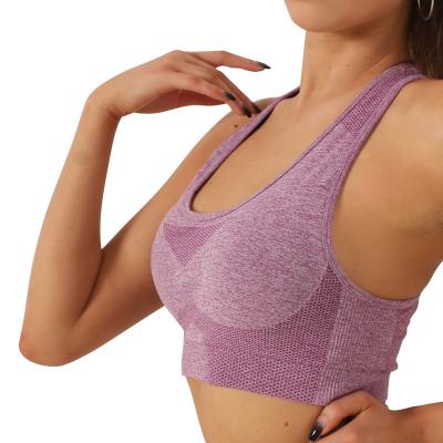 China Breathable Quick Dry Plus Size Gym Crop Tops Custom Compression Fitness Women Sports Yoga Bra for sale