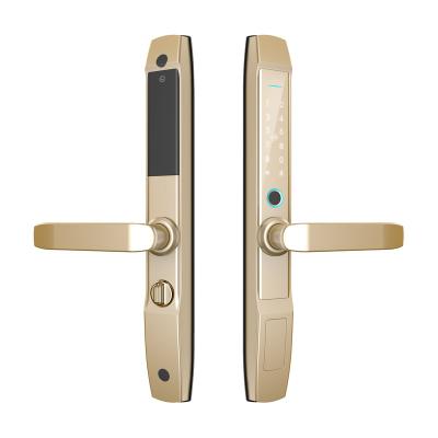 China Office Swing aluminum Door Intelligent IPX5 Waterproof Smart Digital Fingerprint Lock safe digital tuya wifi smart lock sliding door for sale