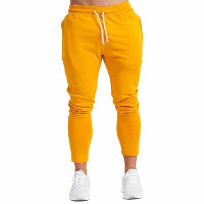 China Wholesale Custom Quick Dry Sportswear Antibacterial Active Training Pants For Workout Sports Gym Fitness Track Pants for sale