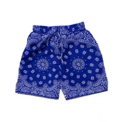 China NS033 Anti-wrinkle bandana dropshipping casual plus size mens cargo shorts mens basketball shorts pants for sale