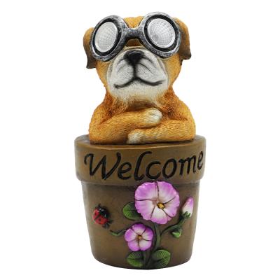 China China Custom Resin Animal Statue,Hot Sale Home Board Resin Dog Solar Light Garden Dog Figurines for sale