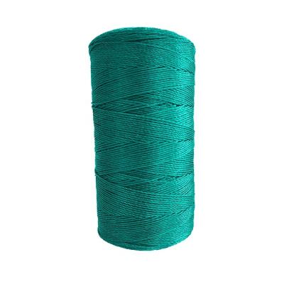 China Hot Sale High Performance 380D/30PLY Polyethylene HDPE Polyethylene Twist Twine Rope Colorful Fishing Nets for sale