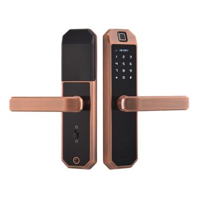 China New Apartments Home Office Hotel Fingerprint Card Key Smart Door Lock For Home Office Apartment Handle Smart Lock for sale