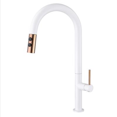 China Sense Faucets Bar Single Sink Faucet Hole Bathroom Kitchen Small RV Camping Faucet Brushed Nickel Washroom Pre Wet Mini Bathroom for sale